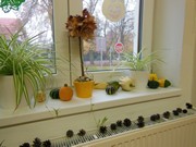 Pokusy a pozorování